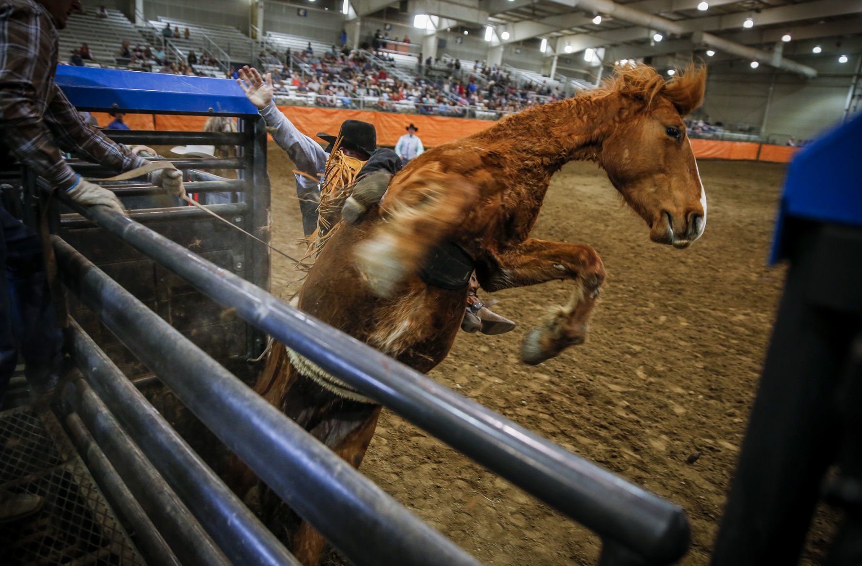 Ropin' and Riggin' Days